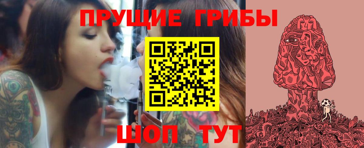 Галлюциногенные грибы Psilocybe  Вход с VPN  Луга 