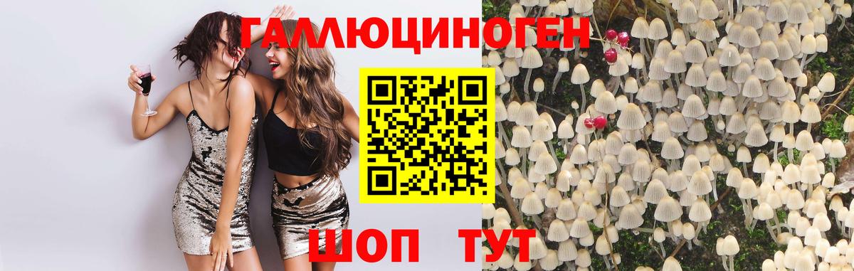 Псилоцибиновые грибы GOLDEN TEACHER Луга